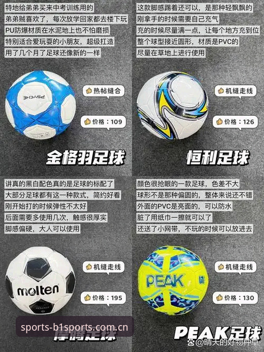 b体育最新版本与旧版全面对比：哪个更适合你的娱乐需求？