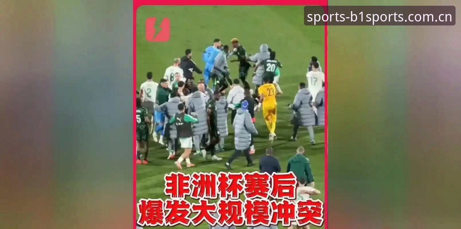 世界杯观赛受阻：从签证危机看国际体育赛事的实用应对策略